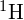 {}^{1}\text{H}