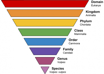 Chapter 2 – Exploring Our World: Biological and Archaeological ...