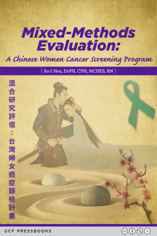 Mixed-Methods Evaluation book cover