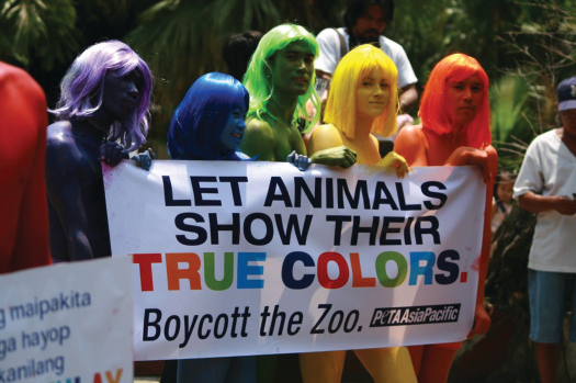 An image of a group of six people, each one painted a different color, holding a sign that reads “Let animals show their true colors. Boycott the zoo. Peta Asia Pacific.”.