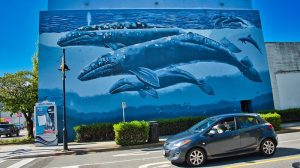 "2021 - Vancouver - White Rock - The Grey Whale Family by Robert Wyland" by Ted's photos - Stand With Ukraine is licensed under CC BY-NC-SA 2.0. To view a copy of this license, visit https://creativecommons.org/licenses/by-nc-sa/2.0/?ref=openverse.