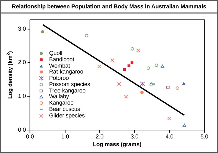 Graph plots log density in kilometers squared versus log body mass in grams. The values are inversely proportional, so that density decreases linearly with increasing body mass.