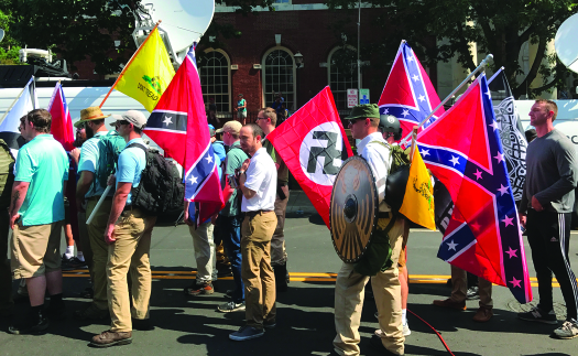 A photograph shows a group of people holding confederate flags and a Nazi flag