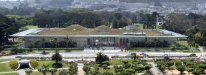 California Academy of Science, viewed from the tower of the de Young Museum