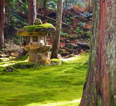This images displays the a moss garden as a product of typical Japanese Gardening. Japan is known for its work into gardening for the public to enjoy.