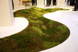 This image displays a moss carpet displayed in Triennale, an art and design museum in Milan. The texture and life in the real moss carpet reveals the diversity and beauty of nature. The artist Makoto Azuma has a history of botanical art to show nature as an artform and still does today. This image was captured on April 25th, 2009.