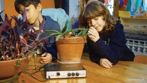 Kids listen to music by attaching the machine to the plants.