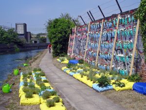urban garden on graffitied wall by a river