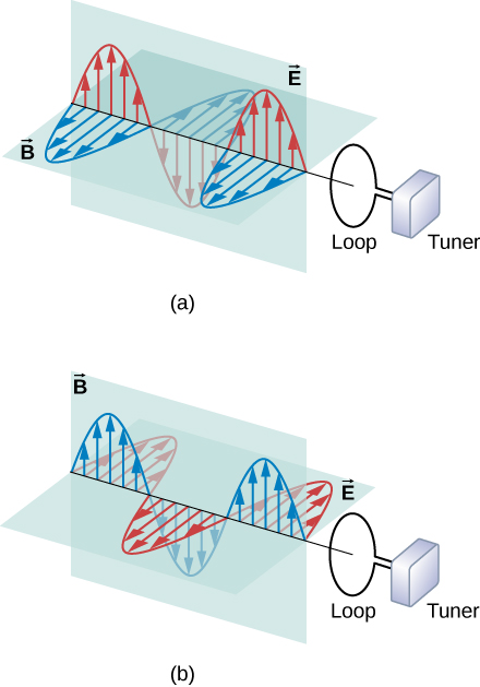 16.2 Plane Electromagnetic Waves – University Physics Volume 2