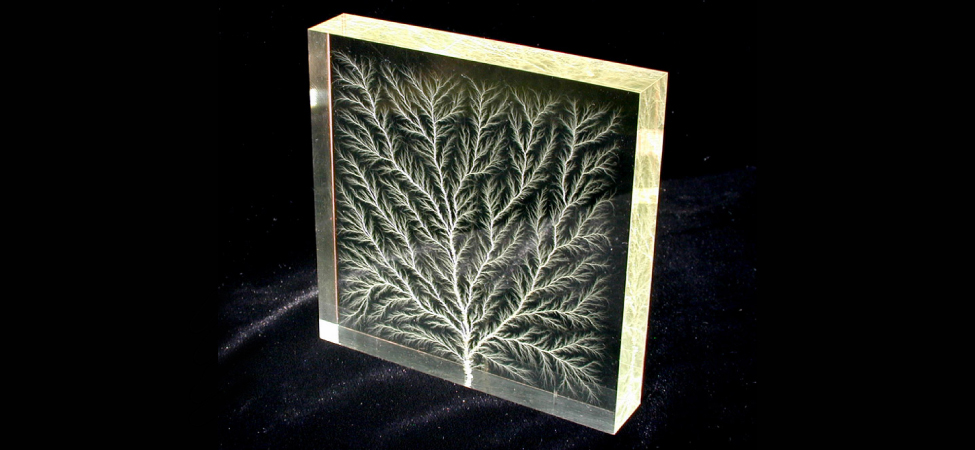 Photograph of a glass block with the pattern of an intricately branching tree within it.