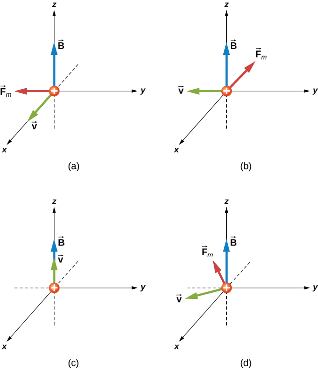 Four examples of the magnetic force on a positive particle moving in a magnetic field. In each case, the field is in the z direction (up.) Figure a shows the particle moving in the positive x direction. The force is in the negative y direction. Figure b shows the particle moving in the negative y direction. The force is in the negative x direction. Figure c shows the particle moving in the positive z direction. There is no force. Figure d shows the particle moving in the x y plane in a direction that is in the positive x and negative y quadrant. The force is in the x y plane, perpendicular to the velocity, in the quadrant with negative x and negative y.