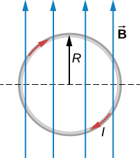 A loop of radius R is in the plane of the page. The loop carries a clockwise current I and is in a uniform magnetic field that points up the page.