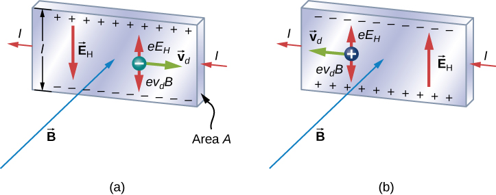 The Hall Effect | College Physics I – Introduction Class Notes | Fiveable