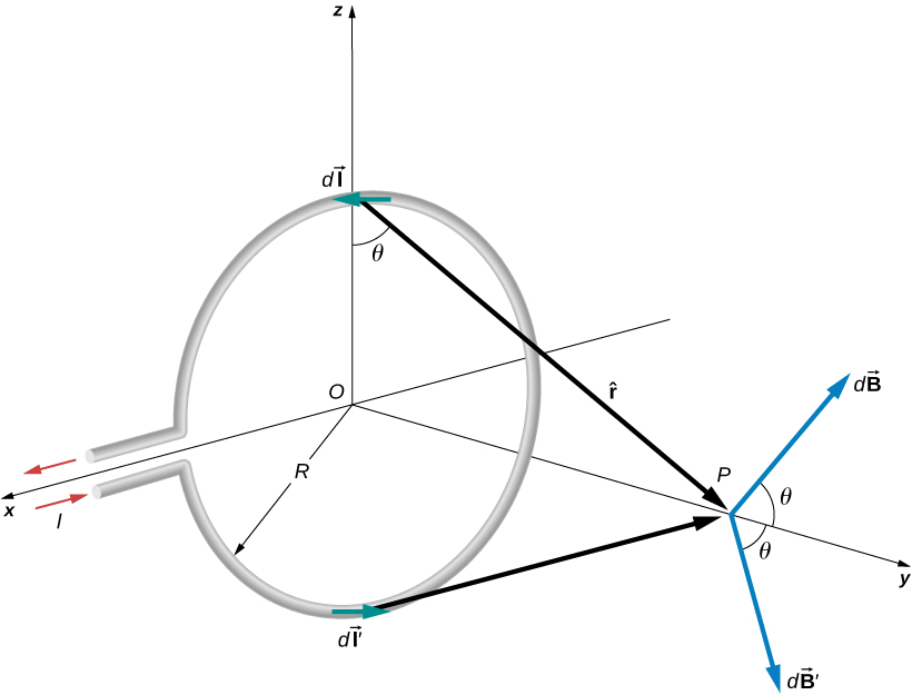 Figure shows a circular loop of radius R that carries a current I and lies in the xz-plane. Point P is located above the center of the loop. Theta is the angle formed by a vector from the loop to the point P and the plane of the loop. It is equivalent to the angle formed by the vector dB from the point P and the y axis.