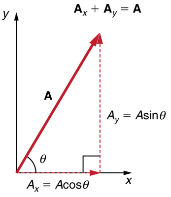 ]A dotted vector A sub x whose magnitude is equal to A cosine theta is drawn from the origin along the x axis. From the head of the vector A sub x another vector A sub y whose magnitude is equal to A sine theta is drawn in the upward direction. Their resultant vector A is drawn from the tail of the vector A sub x to the head of the vector A-y at an angle theta from the x axis. Therefore vector A is the sum of the vectors A sub x and A sub y.