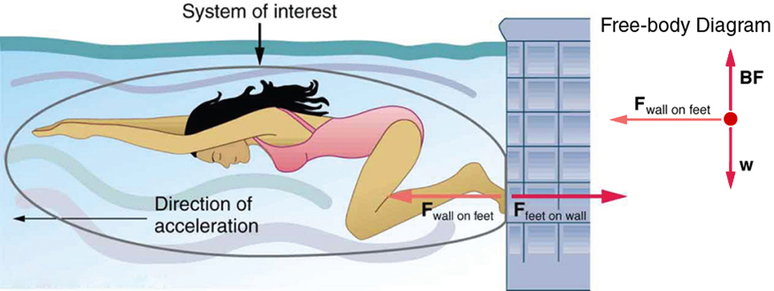 A swimmer is exerting a force with her feet on a wall inside a swimming pool represented by an arrow labeled as vector F sub Feet on wall, pointing toward the right, and the wall is also exerting an equal force on her feet, represented by an arrow labeled as vector F sub Wall on feet, having the same length but pointing toward the left. The direction of acceleration of the swimmer is toward the left, shown by an arrow toward the left.