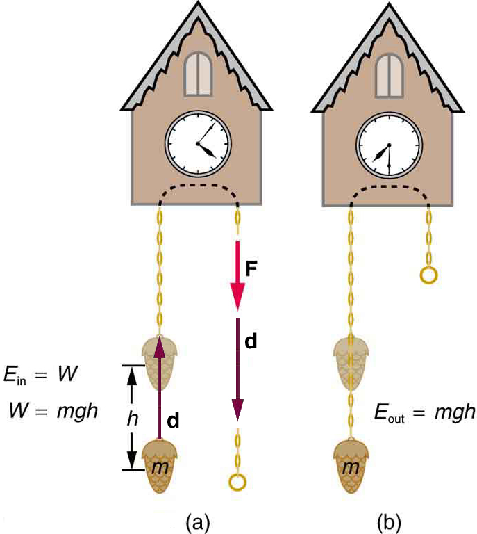 (a) The weight attached to the cuckoo clock is raised by a height h shown by a displacement vector d pointing upward. The weight is attached to a winding chain labeled with a force F vector pointing downward. Vector d is also shown in the same direction as force F. E in is equal to W and W is equal to m g h. (b) The weight attached to the cuckoo clock moves downward. E out is equal to m g h.