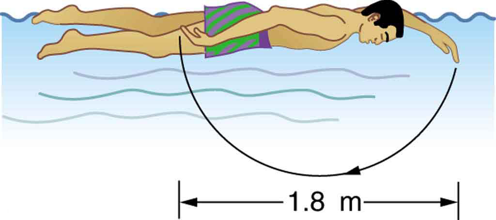 A person swimming and his arm motion in each stroke is represented. The arm action is shown by an arc starting from where his hand enters the surface of the water and ending at the point where his hand emerges from the water. The diameter of this arc made by the person’s hand tip in one stroke is one point eight meters.