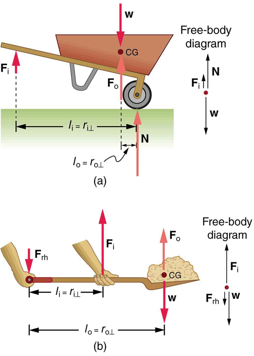 A wheelbarrow is shown in which the input force F sub I is shown as a vector in vertically upward direction below the handle of wheelbarrow. The weight of the wheelbarrow is downward at the center of gravity. The normal reaction of the ground is acting at the wheel in upward direction. The perpendicular distance between the normal reaction and the input force F sub I is labeled as R sub I and the distance between output force F sub O and normal reaction is labeled as R sub O. In figure b, a man is holding a shovel in his hands. One hand is at one end of the handle and the other hand is holding the shovel at the middle. The center of gravity of the shovel is at its flat end. The weight of the shovel is acting at the center of gravity. The input force is acting at the hand in the middle in upward direction and the end of the shovel is acting as pivot. A free body diagram is also shown at the right side of the figure.