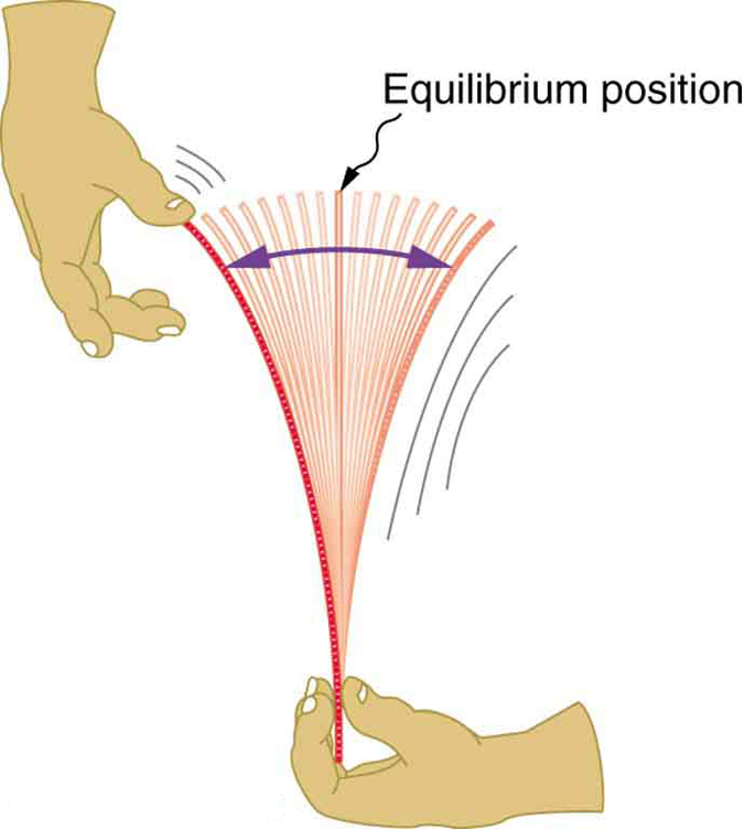 In this figure a hand holding a ruler tightly at the bottom is shown. The other hand pulls the top of the ruler and then releases it. Then the ruler starts vibrating, and oscillates around the equilibrium position. A vertical line is shown to mark the equilibrium position. A curved double-headed arrow shows the span of the oscillation.