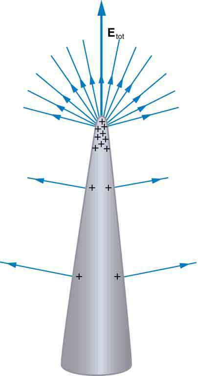 A cone shaped positively charged conductor is shown where most of the positive charges are accumulated at the tip. The field lines represented by arrows emerge at right angles from the surface of the conductor in outward direction. The density of field lines is greater at the tip of the cone than at other surfaces.