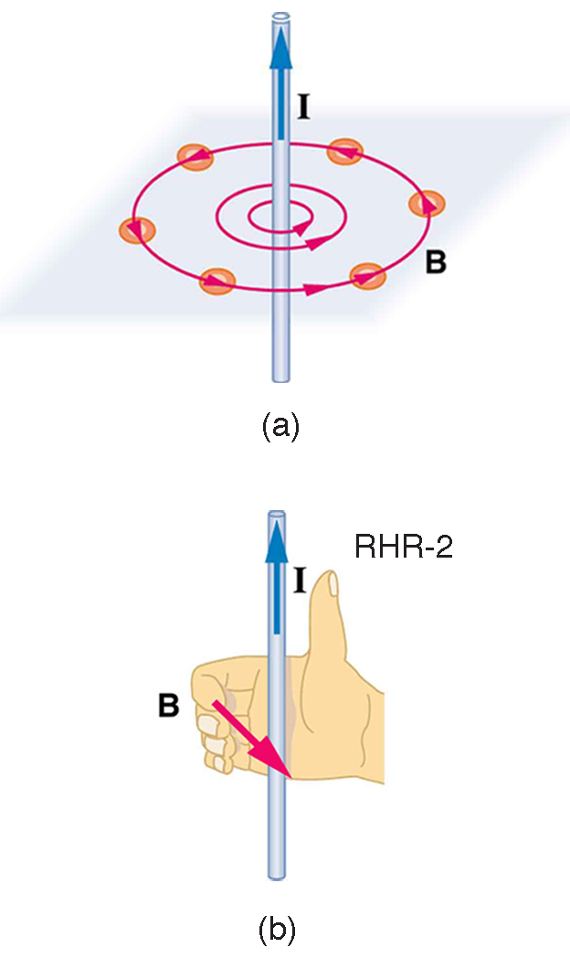 Figure a shows a vertically oriented wire with current I running from bottom to top. Magnetic field lines circle the wire counter-clockwise as view from the top. Figure b illustrates the right hand rule 2. The thumb points up with current I. The fingers curl around counterclockwise as viewed from the top.
