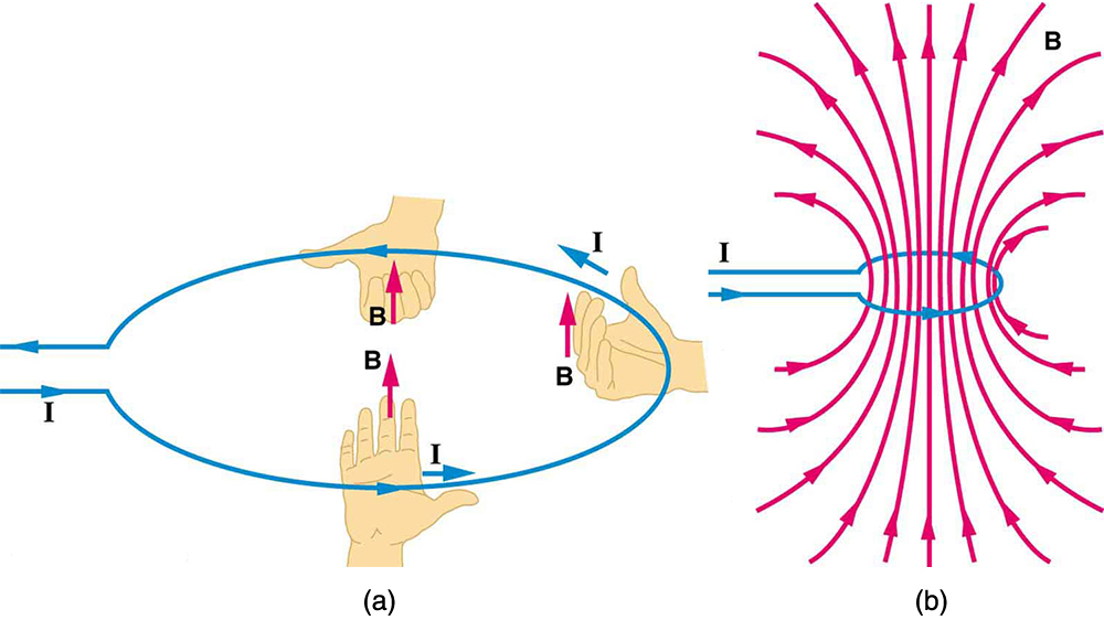 22 9 Magnetic Fields Produced By Currents Ampere s Law College Physics