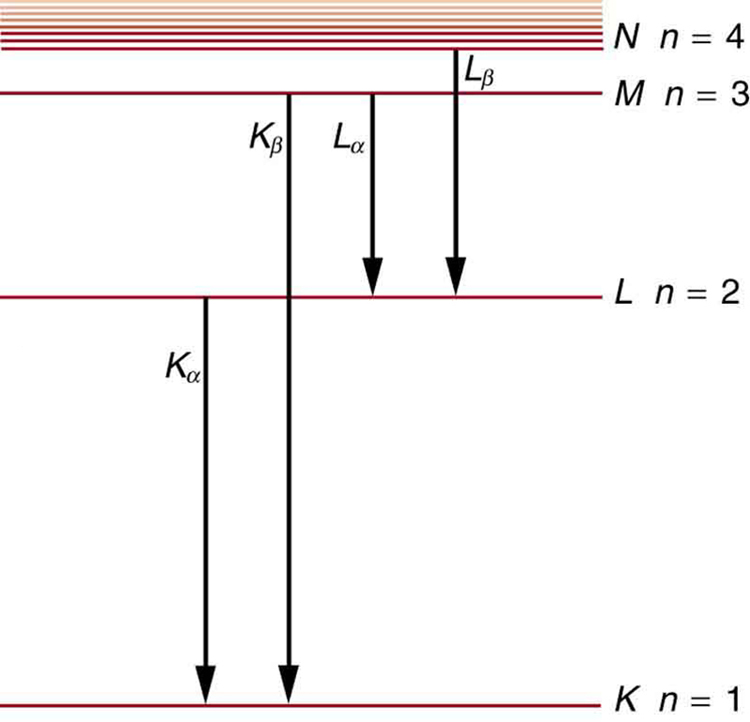 Different energy levels are shown in the form of horizontal lines. The line at the bottom shows the energy level for n is equal to one for the K shell. At a distance above this line, another horizontal line shows the energy level for n is equal to two for the shell L. Similarly, other lines are shown for the shells M and N. As we move from bottom to the top, the distance between the lines decreases, and near the end a few lines are shown very close to each other. Each level is labeled according to the characteristic x ray of the shell.