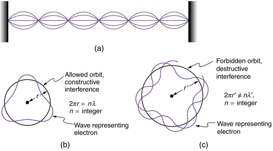 Figure a shows a string tied between two fixed supports. The string is being vibrated, which generates waves on the string. Figure b shows a circular orbit of radius r and a triangular shaped wave representing an electron. The condition for constructive interference and an allowed orbit given as two pi r is equal to n times lambda where n is an integer. Figure c shows a circular orbit of radius r prime and an irregular shaped wave representing an electron. The condition for destructive interference and a forbidden orbit is given as two pi r prime is not equal to n times lambda prime where n is an integer.