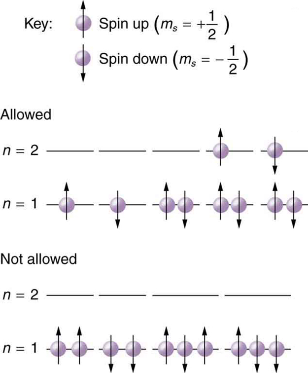 The figure here shows configuration of electrons. At the top, the key shows two purple balls, which depict electrons. The upward directed arrow on the first ball or electron shows its spin is plus one half, and the downward arrow on the second electron shows the opposite spin that is minus one half. Two other sections show the electronic configurations of electrons for two levels, n equal to one and n equal to two. One section shows the allowed configurations of the electron in the n is equal to one and two levels, and the second section for the configurations which are not allowed. In the allowed section, n is equal to two has three vacant shells and one electron in each of the outer two shells, one with spin up and one with spin down; and n is equal to one configuration has two shells containing one each spin up and spin down electron and the three other shells containing combinations of both spins each. For the not allowed section, n is equal to two have all vacant shells and n is equal to one have unevenly balanced electrons in its shells.