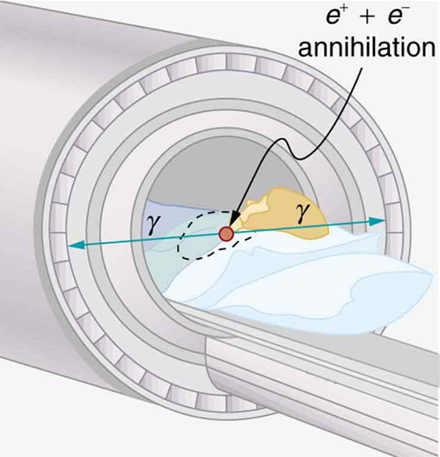 The figure shows a patient undergoing a scan in a cylindrical device. The P E T system uses two gamma ray photons produced by positron electron annihilation. These gamma rays are emitted in opposite directions.