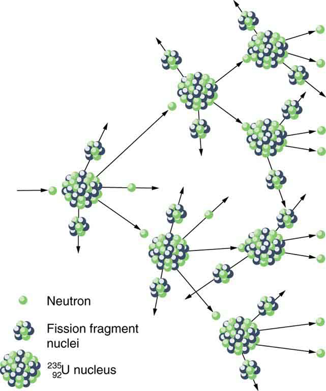 A uranium nucleus struck by a neutron produces two fragments and three neutrons, two of which continue to strike two other uranium nuclei and hence, initiate a chain reaction.