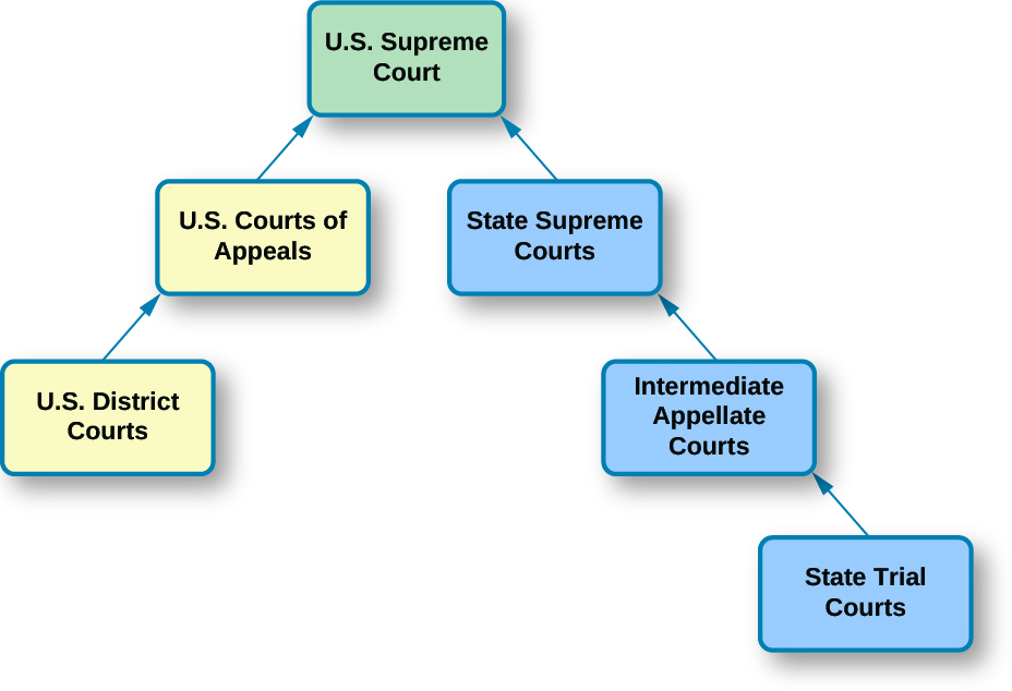 The Dual Court System American Government