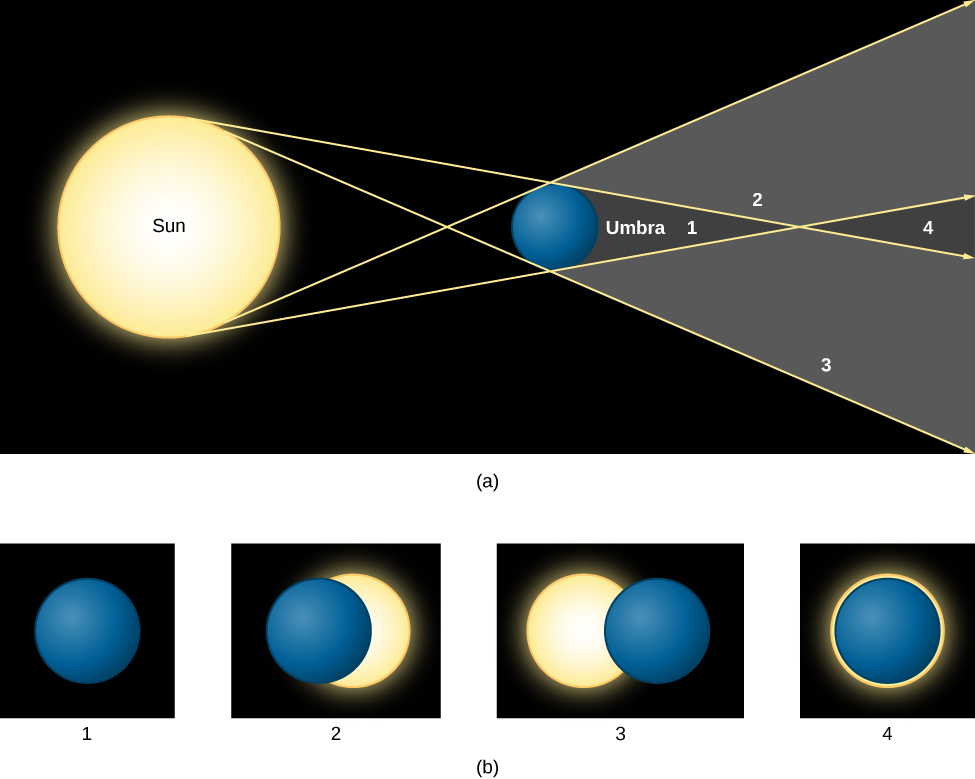 Solar Eclipse. In panel (a), at top, the geometry of a solar eclipse is drawn as seen from above. At left the Sun is drawn as a large yellow disc. At center, a hypothetical spherical body is drawn as a blue disc. The shadow cast by this body is indicated by two yellow arrows which are drawn from the top of the Sun’s disk to the blue body; one touches the top of the body and continues to the right and one touches the bottom and continues to the right. To complete the shadow, two yellow arrows are drawn from the bottom of the Sun’s disk to the blue body; one touches the bottom of the blue disc and continues to the right and one touches the top and continues to the right. Beyond the blue disc on the right side of the diagram, four areas within the shadow are indicated with numbers corresponding to the images in panel (b). At position 1, closest to the blue disc, the eclipse is total. At positions 2 and 3 the eclipses are partial. At position 4, furthest from the blue disc, the eclipse is annular.