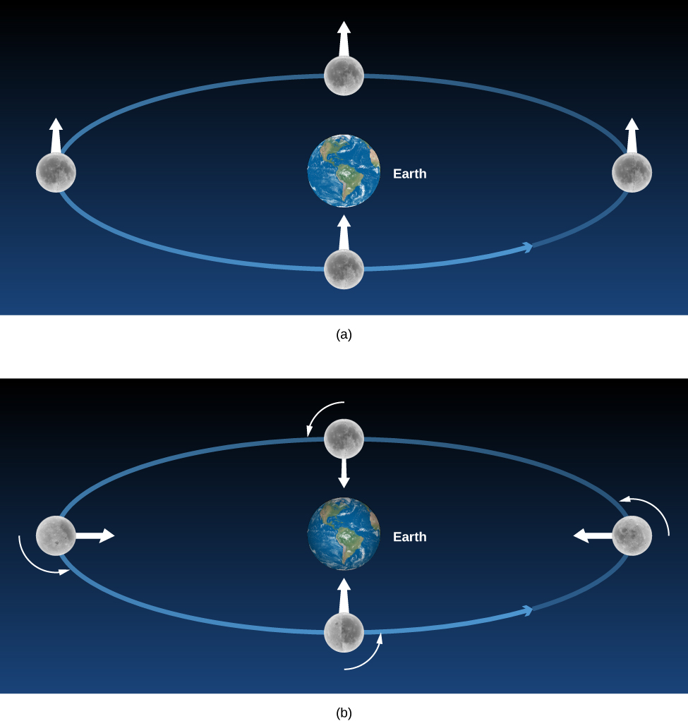 The Moon without and with Rotation. In panel (a), at top, the Earth is drawn at the center of a blue ellipse representing the orbit of the Moon. The Moon is shown at four positions along its orbit far right, top center, far left and bottom center. Each image of the Moon has a white arrow pointing upward. In (b), at bottom, the Earth is drawn at the center of a blue ellipse representing the orbit of the Moon. The Moon is shown at four positions along its orbit far right, top center, far left and bottom center. A short counter-clockwise arrow is drawn ¼ away around each Moon image indicating its rotation. In contrast to panel (a), the white arrows on the Moon each now point toward the Earth.