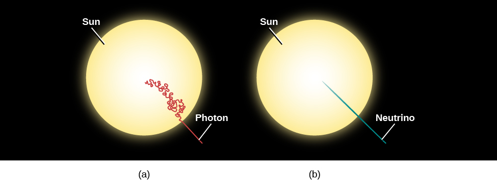 Diagram of Photon and Neutrino Paths in the Sun. At left, (a) shows the Sun as a yellow disk. Starting at the center of the Sun, the path of a photon is drawn in red and labeled “Photon”. The photon path zigzags, curves and twists back on itself many, many times before reaching the Sun’s surface and then travels away into space in a straight line. At right, (b) also shows the Sun as a yellow disk. Starting at the center of the Sun the path of a neutrino is drawn in blue and labeled “Neutrino”. The neutrino path is a straight line from the center to the surface and outward into space.