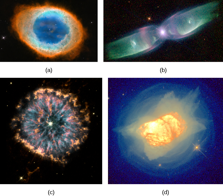 Gallery of Planetary Nebulae. Panel (a), at the upper left corner of this image, shows M 57, a fairly symmetrical ring of glowing gas surrounding the faint central star. Panel (b), at the upper right corner of this image, shows M 2-9, which appears like an elongated butterfly. The central star being the body and the gaseous “wings” to the left and right of the star. At the lower left corner in panel (c) is N G C 6751. This planetary nebula has streams and clumps of bright gas superimposed over a symmetric ring structure surrounding the central star. Finally, panel (d) at the lower right corner presents N G C 7027. This nebula appears as an indistinct, mottled blob of gas surrounded by multiple faint shells of material.
