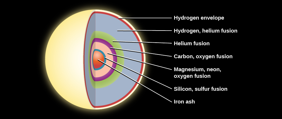 Interior Structure of a Massive Star before the End of its Life. The onion like layers of a massive star are illustrated as follows: the outermost layer is composed of hydrogen, followed by another hydrogen layer, a helium layer, an oxygen layer, a neon layer, a magnesium layer, a silicon layer, and culminating in a core of iron “ash”.
