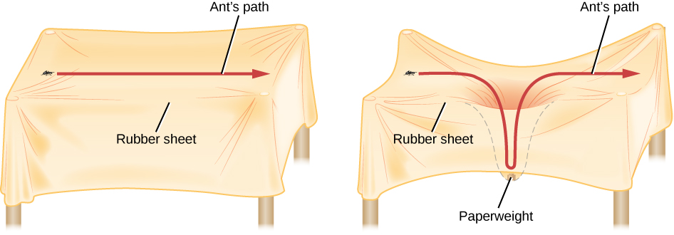 Three-Dimensional Analogy for Spacetime. In the left-hand portion of this illustration, a “Rubber sheet” is stretched between four poles. An ant is drawn on the surface at left, with a straight red arrow drawn from the ant toward the right labeled “Ant’s path”. In the right-hand side the “Rubber sheet” now has a “Paperweight” in the middle, causing the rubber sheet to sag. The red arrow is now drawn to trace the “Ant’s path” down into and out of the sag. Due to the sag, the path on the right is much longer than the path on the left.