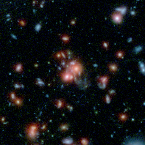 Merging Galaxies in a Distant Cluster. This HST image shows the core of one of the most distant galaxy clusters yet discovered, SpARCS 1049+56. At the center of the image chaotic shapes and long blue tidal tails can be seen.