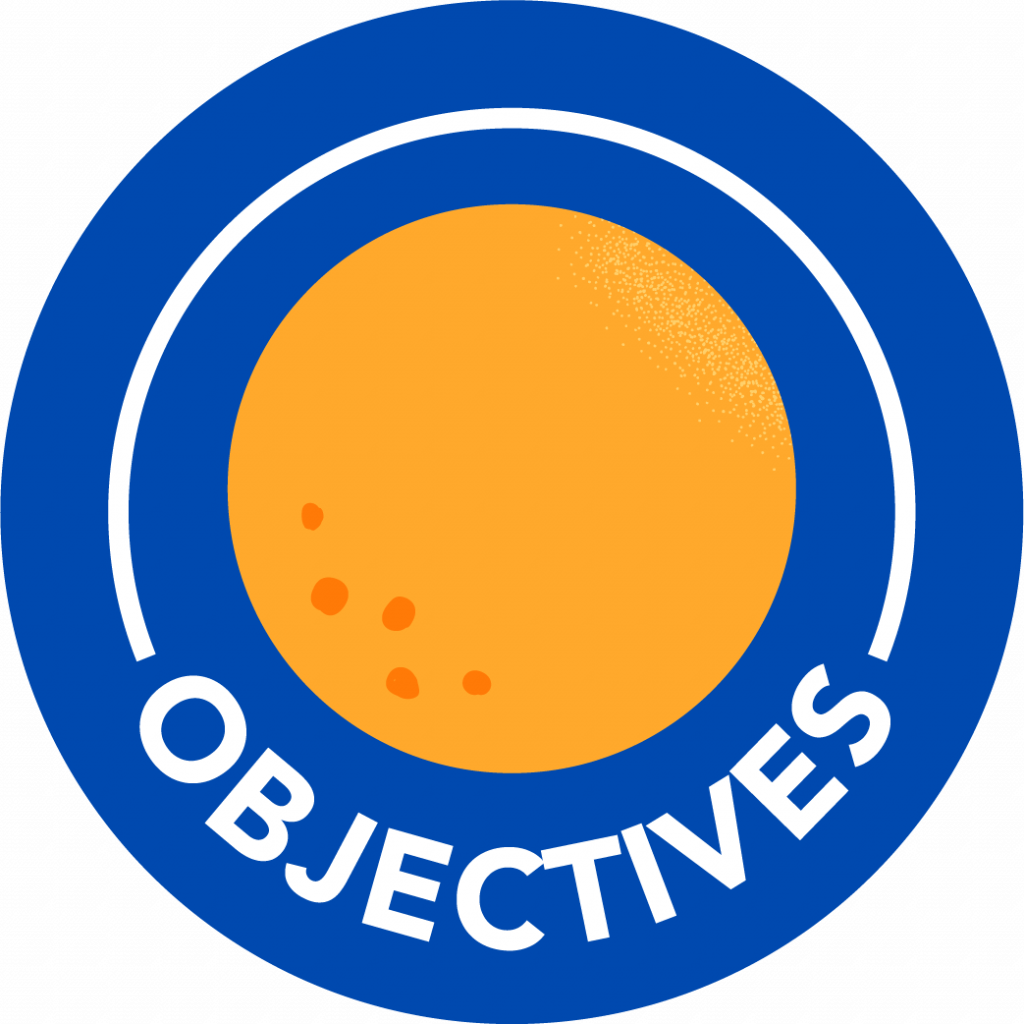 chapter-2-objectives-strategies-for-conducting-literary-research