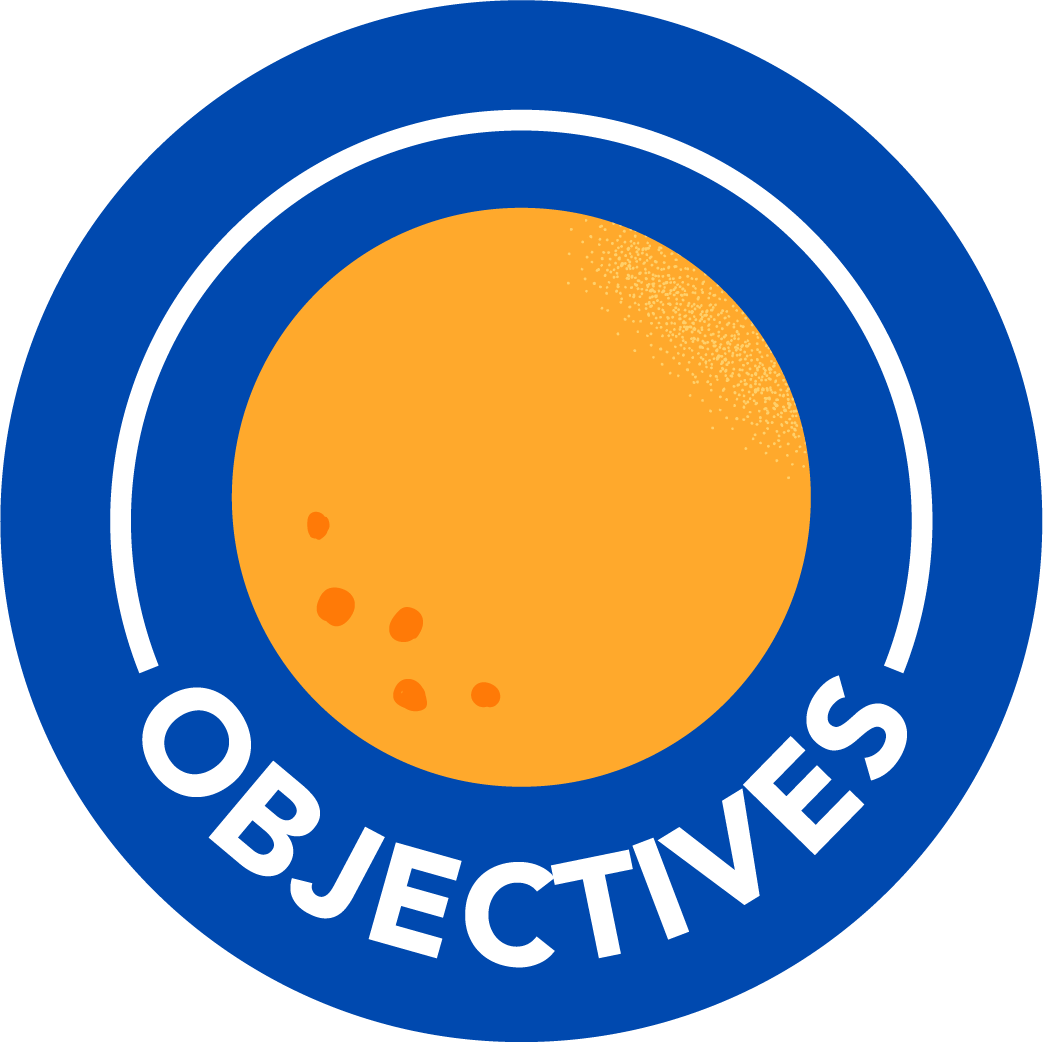 chapter-4-objectives-strategies-for-conducting-literary-research