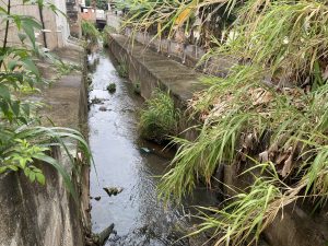 Stream with some debris in Lavras, MG, Brazil