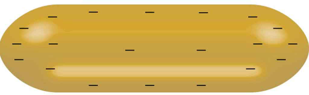 The figure shows a negatively charged conductor that is shaped like an oblong.