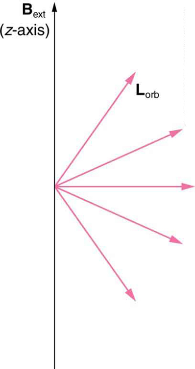 An external magnetic field along vertical z-axis is shown. Several spectral lines are shown originating from the same point on the z-axis which represents orbital angular momentum.