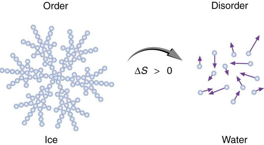 The diagram has two images. The first image shows molecules of ice. They are represented as tiny spheres joined to form a floral pattern. The system is shown as ordered. The second image shows what happens when ice melts. The change in entropy delta S is marked between the two images shown by an arrow pointing from first image toward the second image with change in entropy delta S shown greater than zero. The second image represents water shown as tiny spheres moving in a random state. The system is marked as disordered.