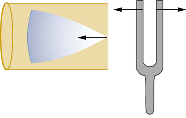 The right side shows a vibrating tuning fork with right arm of fork moving right and left arm moving left. The left side shows a cone of resonance waves moving across a tube from the open end to the closed end. The tip of the cone is at the open end of the tube.