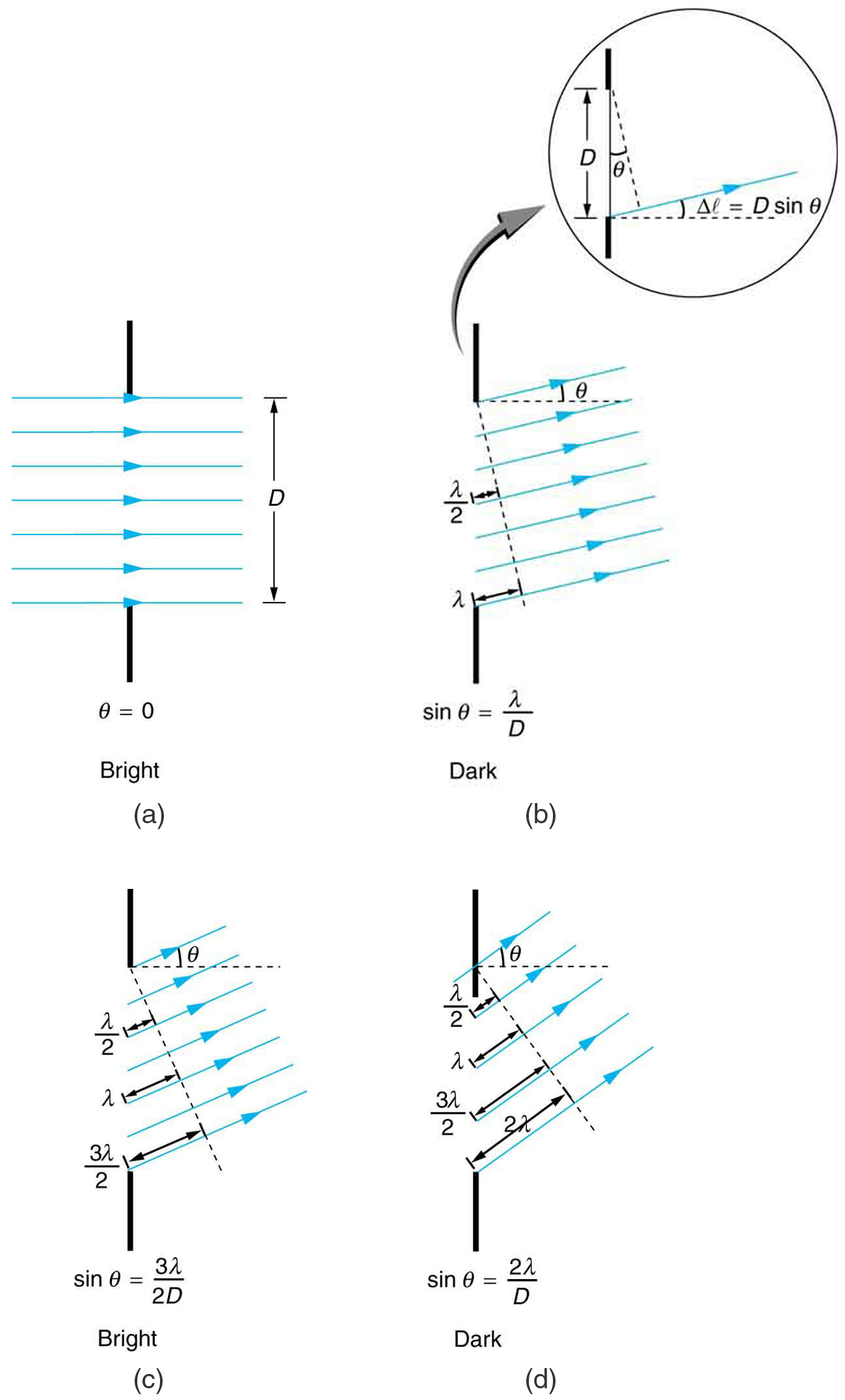 The figure shows four schematics of a ray bundle passing through a single slit. The slit is represented as a gap in a vertical line. In the first schematic, the ray bundle passes horizontally through the slit. This schematic is labeled theta equals zero and bright. The second schematic is labeled dark and shows the ray bundle passing through the slit an angle of roughly fifteen degrees above the horizontal. The path length difference between the top and bottom ray is lambda, and the schematic is labeled sine theta equals lambda over d. The third schematic is labeled bright and shows the ray bundle passing through the slit at an angle of about twenty five degrees above the horizontal. The path length difference between the top and bottom rays is three lambda over two d, and the schematic is labeled sine theta equals three lambda over two d. The final schematic is labeled dark and shows the ray bundle passing through the slit at an angle of about forty degrees above the horizontal. The path length difference between the top and bottom rays is two lambda over d, and the schematic is labeled sine theta equals two lambda over d.