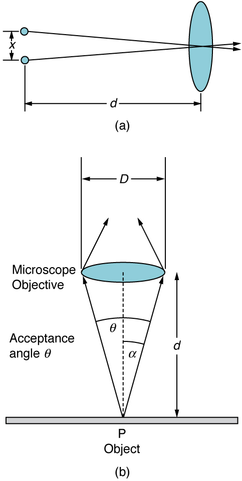 Part a of the figure shows two small objects arranged vertically a distance x one above the other on the left side of the schematic. On the right side, at a distance lowercase d from the two objects, is a vertical oval shape that represents a convex lens. The middle of the lens is on the horizontal bisector between the two points on the left. Two rays, one from each object on the left, leave the objects and pass through the center of the lens. The distance d is significantly longer than the distance x. Part b of the figure shows a horizontal oval representing a convex lens labeled microscope objective that is a distance lowercase d above a flat surface. The oval’s long axis is of length capital D. A point P is labeled on the plane directly below the center of the lens, and two rays leave this point. One ray extends to the left edge of the lens and the other ray extends to the right edge of the lens. The angle between these rays is labeled acceptance angle theta, and the half angle is labeled alpha. The distance lowercase d is longer than the distance capital D.