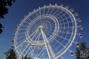 Orlando Eye